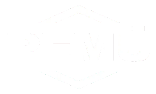 Silver Sponsor