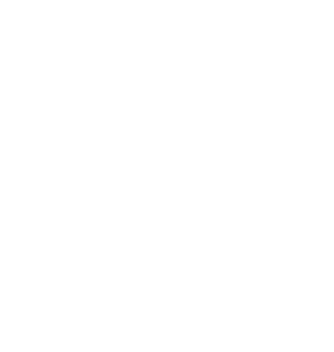 Diamond Sponsor