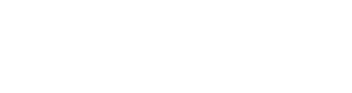 Bronze Sponsor