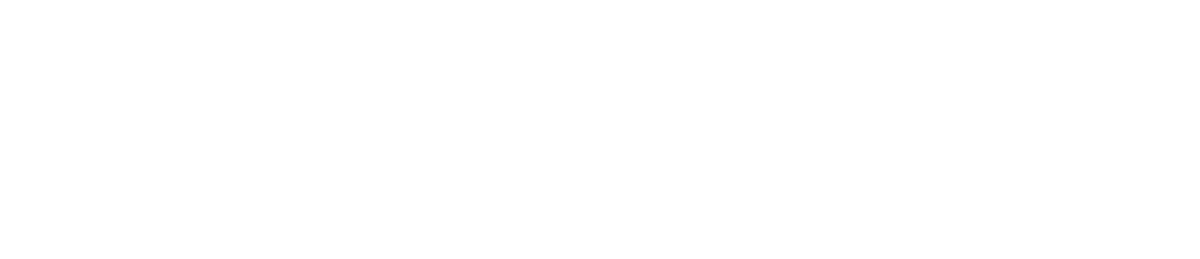 Silver Sponsor