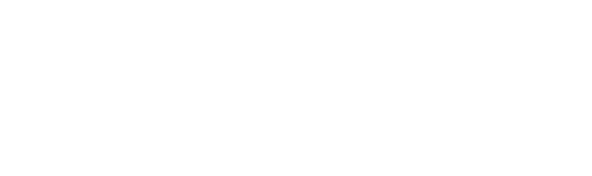 Silver Sponsor