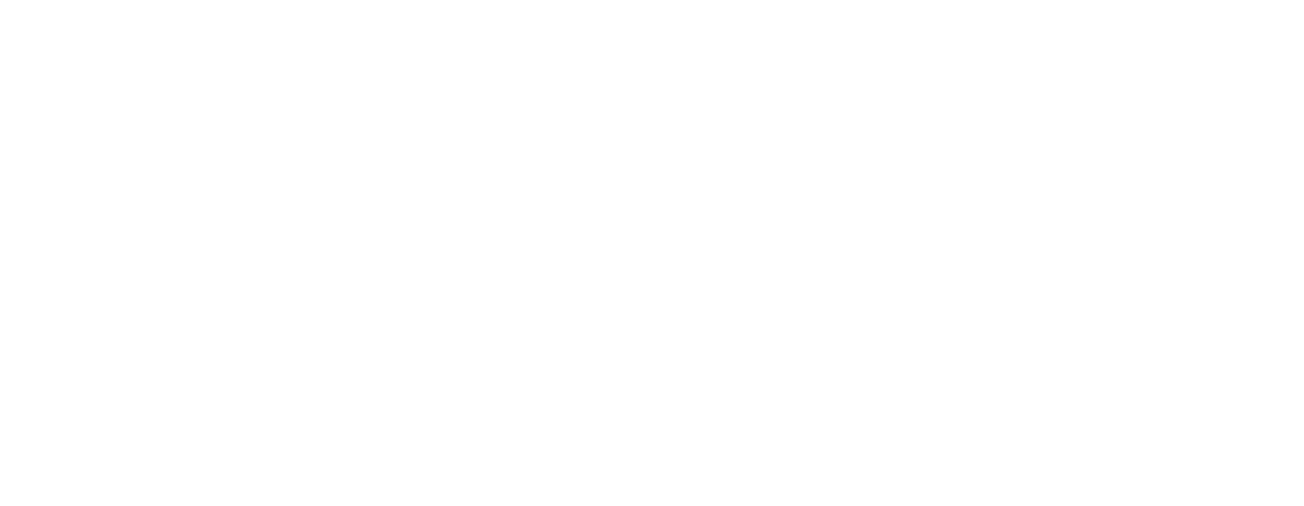 Gold Sponsor