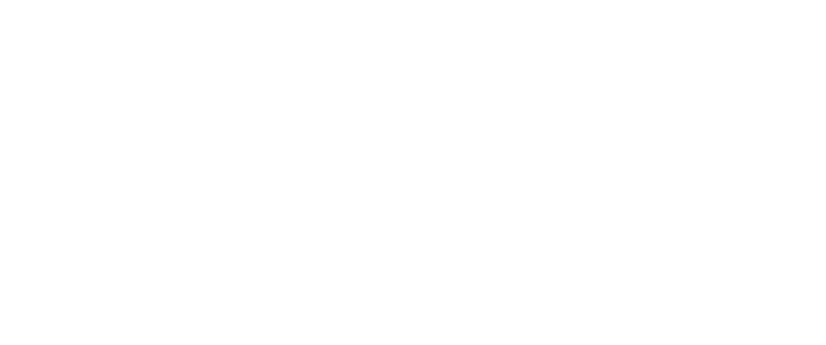 Silver Sponsor
