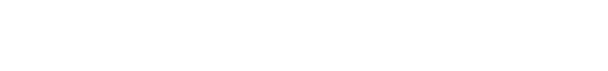 Silver Sponsor