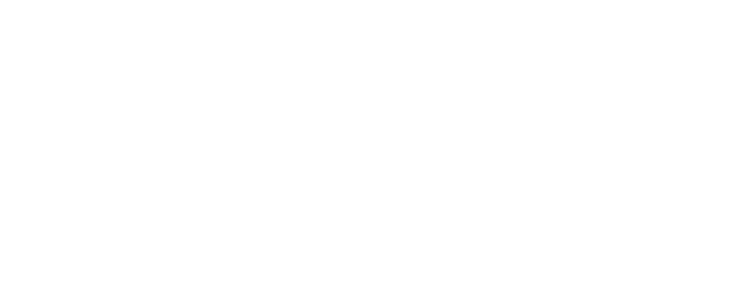 Bronze Sponsor