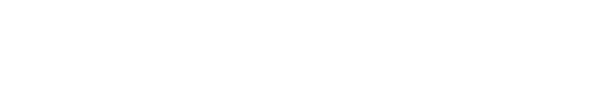 Gold Sponsor