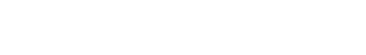 Gold Sponsor