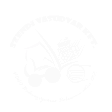Silver Sponsor