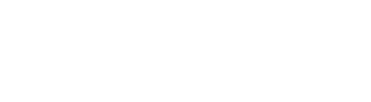Bronze Sponsor