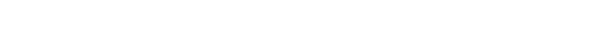 Silver Sponsor