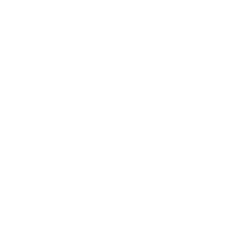 Silver Sponsor
