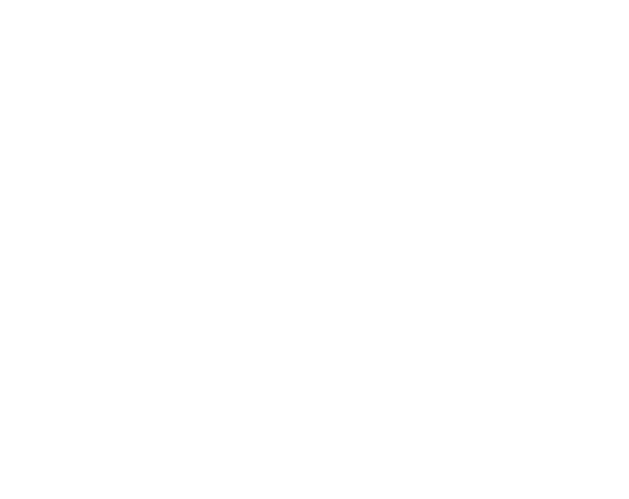 Bronze Sponsor
