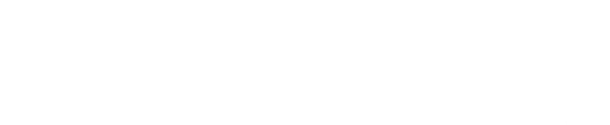 Gold Sponsor