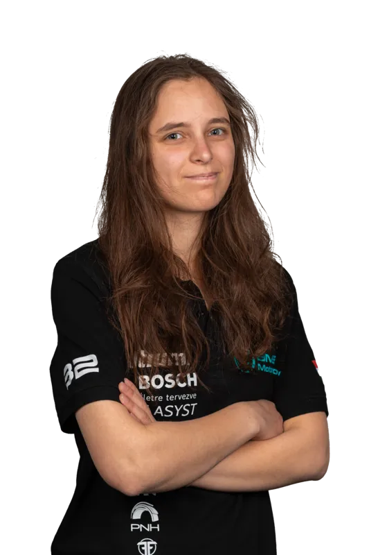 Team Member