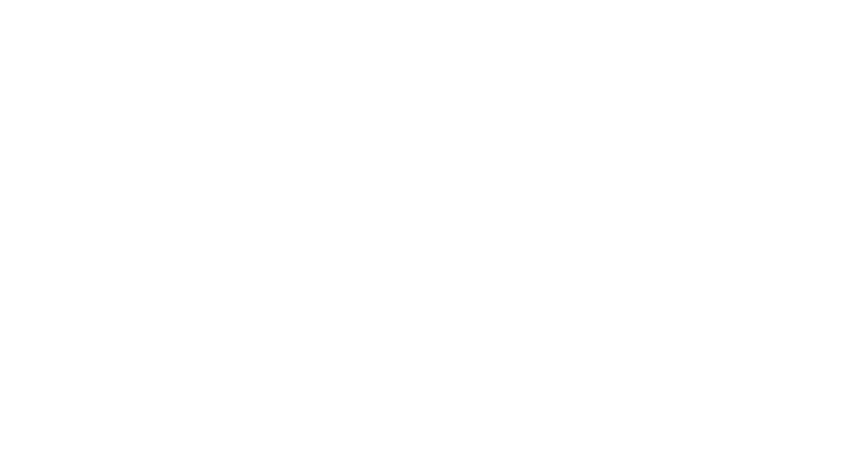 Bronze Sponsor