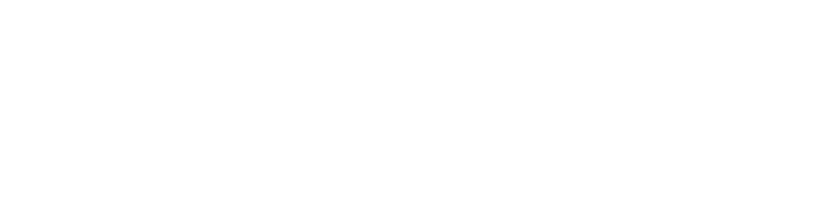 Diamond Sponsor