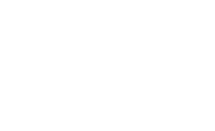 Silver Sponsor