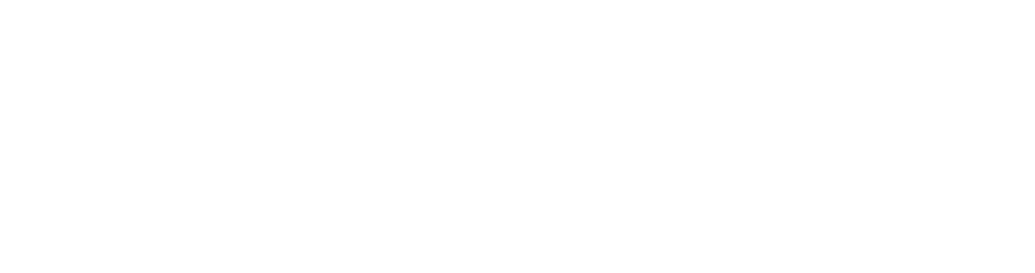Silver Sponsor
